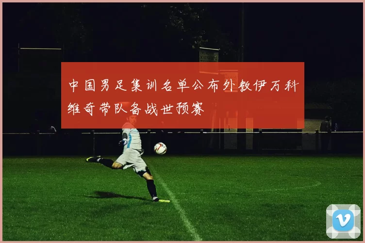 中国男足集训名单公布外教伊万科维奇带队备战世预赛