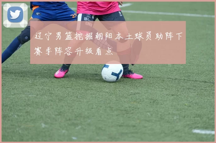 辽宁男篮挖掘朝阳本土球员助阵下赛季阵容升级看点