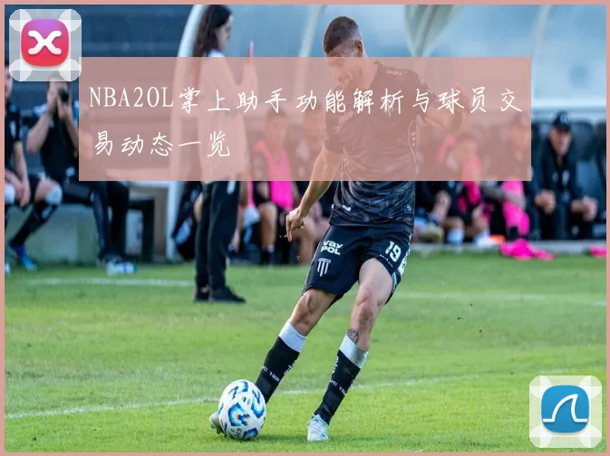 NBA2OL掌上助手功能解析与球员交易动态一览