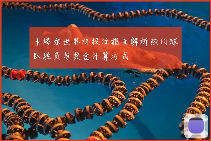 卡塔尔世界杯投注指南解析热门球队胜负与奖金计算方式