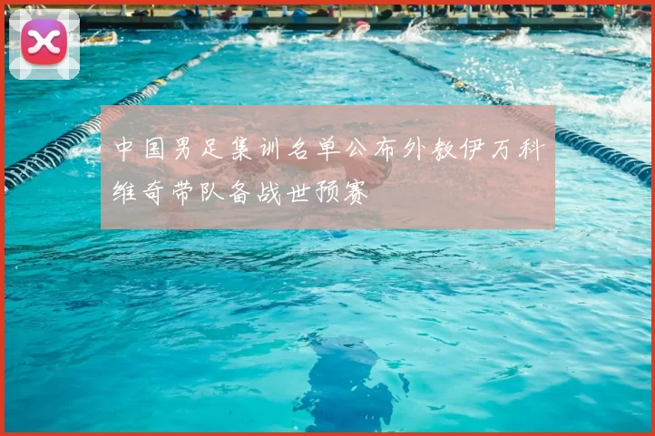 中国男足集训名单公布外教伊万科维奇带队备战世预赛