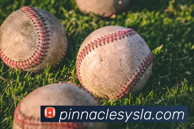 必一·运动(B - Sports)官方网站APP 封面图